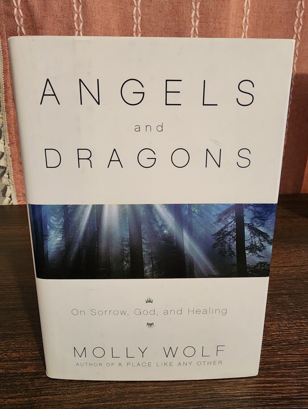 Angels And Dragons By Molly Wolf. New